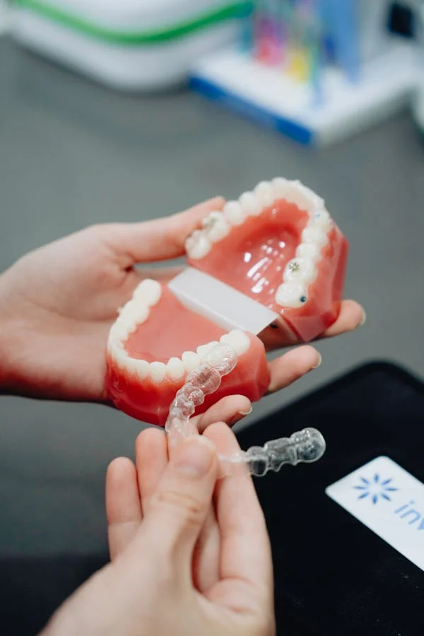 an image showing a dental model of teeth with an Invisalign
