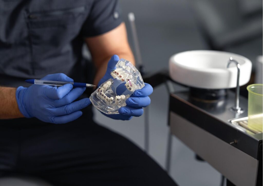 Orthodontist comparing clear braces and metal braces using a dental model during a treatment consultation.